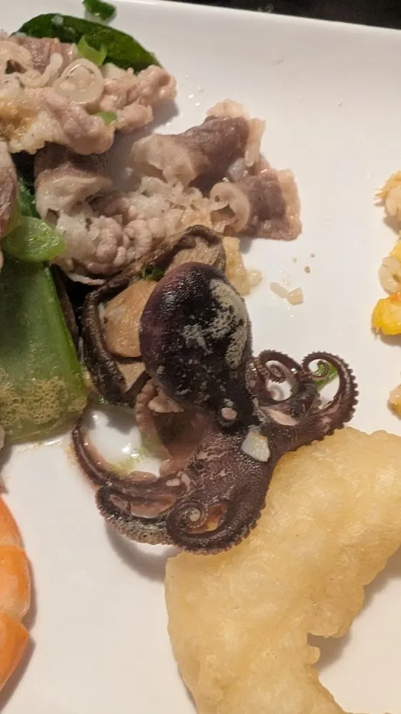 Baby Octopus